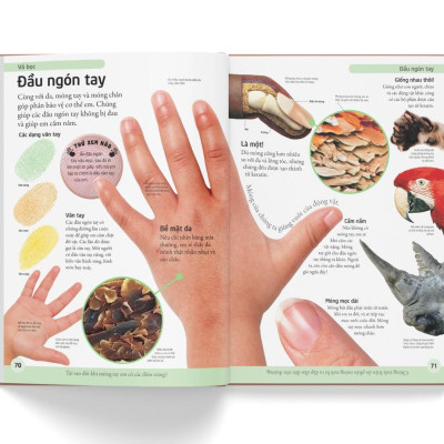 Bách Khoa Cho Trẻ Em - Bách Khoa Cơ Thể Người