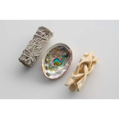 Sét 3 món xô thơm trắng white sage + 1 vỏ ốc Ô4 8cm + 1 chân gỗ xoài