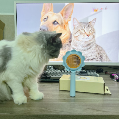 Lược chải lông gỡ rối cho chó mèo hình hoa dướng dương có nút bấm đẩy lông thừa