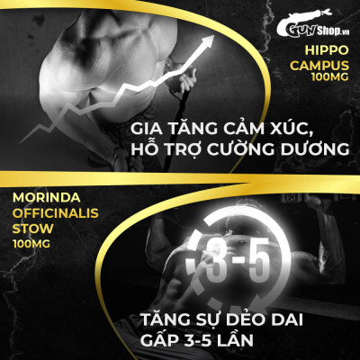 Viên uống phục hồi và tăng cường sức khỏe sinh lý nam giới Powergra Rino - Vỉ dùng thử 1 viên