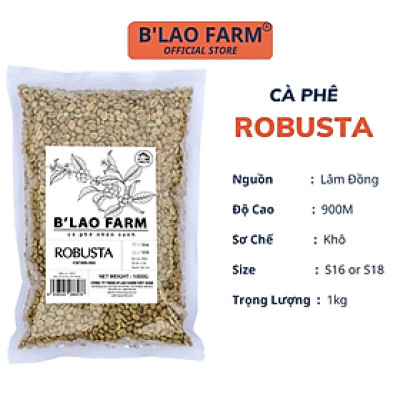 Cà phê nhân xanh ROBUSTA S18 B