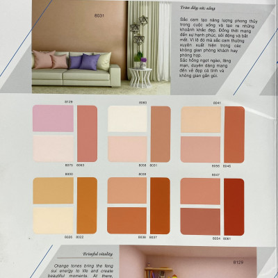  Sơn phào chỉ trong và ngoài nhà Toa 4 Seasons Tropic Shield màu C- 7502_1L