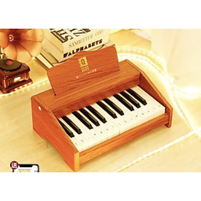 Đàn Piano Mini Cho Trẻ Tập Chơi Đủ Màu Sắc Bằng Gỗ Cao Cấp 25 Phím Gồm Giá Nhạc Và Chân Đế
