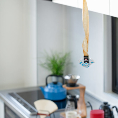 Set 2 Miếng Bẫy Tự Động Diệt Ruồi Sanada Seiko An Toàn Và Hiệu Quả