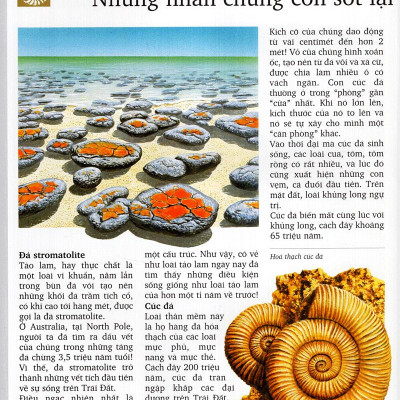 Kì Quan Thiên Nhiên (Tái Bản 2020)