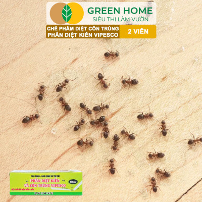 Phấn Diệt Kiến Và Côn Trùng Vipesco, GreenHome, Hộp 2 Viên, Diệt Trừ Kiến, Gián, Rận, Rệp, Bọ Chét,.