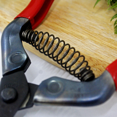 Kéo tỉa cành cao cấp Nhật Bản Chikamasa T-5C chiều dài lưỡi 35mm - lưỡi thép không gỉ chất lượng cao siêu bén - Cắt ngọt, không bám dính, liền sẹo nhanh