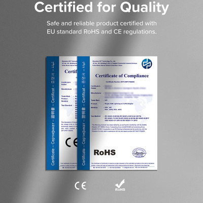 Bộ 2 đầu chuyển RINGKE LN to C OTG Adapter - Hàng Chính Hãng