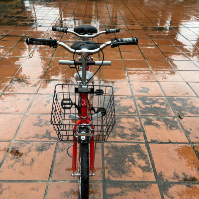 Xe đạp đôi gia đình cao cấp PAX 2 Sport - Kiểu dáng thể thao - Hai người đạp tự do - Trọng tải 300kg - Có thêm ghế cho bé