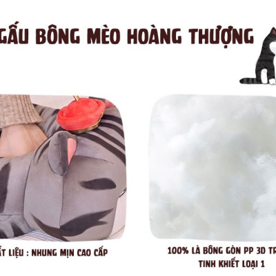 Gấu Bông Mèo Hoàng Thượng Cao Cấp