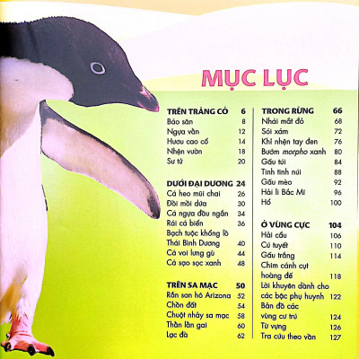 Sách - Cuốn Sách Lớn Đầu Tiên Của Tớ - Động Vật - Bìa Cứng (Tái Bản 2024)