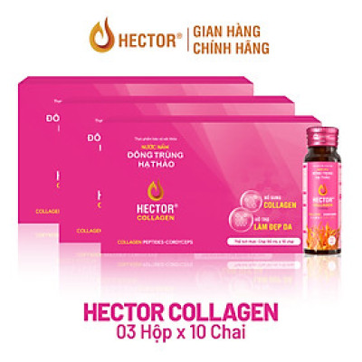 Bộ 3 Hộp 10 Chai Nước nấm Đông Trùng Hạ Thảo HECTOR Collagen bố sung collagen, hỗ trợ làm đẹp da (30x50ml)