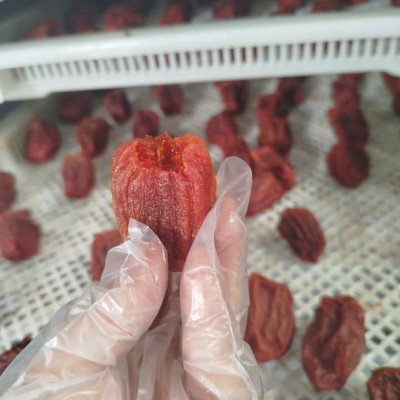 Hồng sấy dẻo Đà Lạt 500g