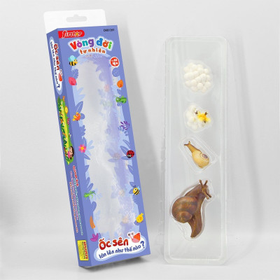 Đồ Chơi Duka: Vòng Đời Tự Nhiên - Khám Phá Môi Trường