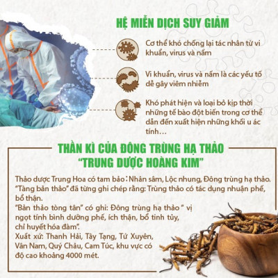 TPBVSK Viên đông trùng hạ thảo - Thiên Sư