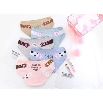 Bộ 10 quần lót nữ tam giác cotton dễ thương