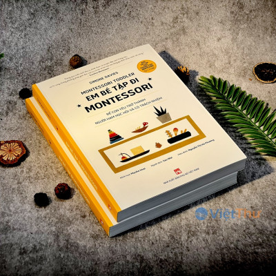 Em Bé Tập Đi Montessori - Montessori Toddler