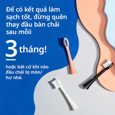 [Chính Hãng] Combo 3 Đầu Bàn Chải Điện Thay Thế Zenyum Sonic MỚI 2.0- Công Nghệ Singapore - Xanh Dương