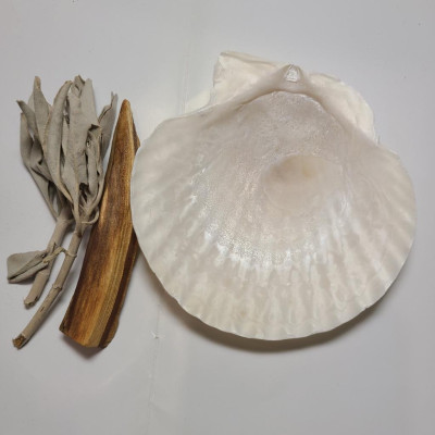 Sét thảo mộc thanh tẩy cơ bản với vỏ sò/ốc tự nhiên