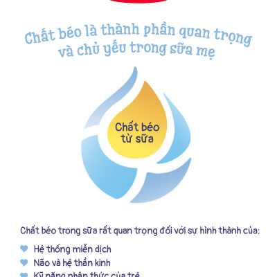 Combo 4 Sữa bột công thức Semper Nutradefense Baby 2 400g/hộp