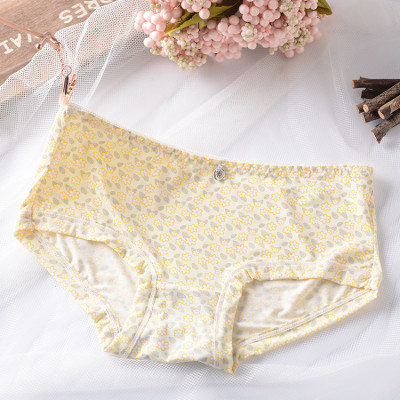 COMBO 10 QUẦN SU ĐÚC LẠNH HỌA TIẾT LƯNG THẤP