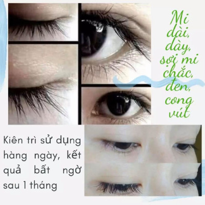 CHUỐT DƯỠNG LÀM DÀI, DÀY LÔNG MI VÀ MÀY MẸ KEN