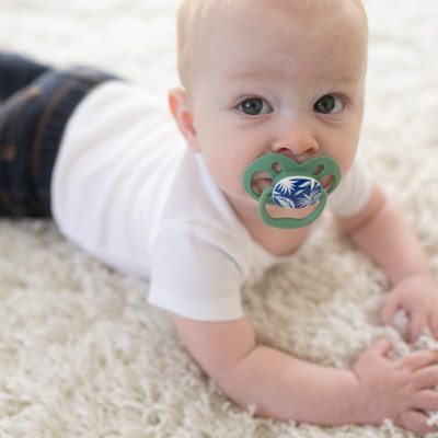 [ PA22004-INTL ] Bộ 2 ty ngậm Dr.Brown