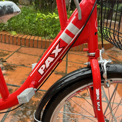 Xe đạp đôi gia đình cao cấp PAX 2 Sport - Kiểu dáng thể thao - Hai người đạp tự do - Trọng tải 300kg - Có thêm ghế cho bé