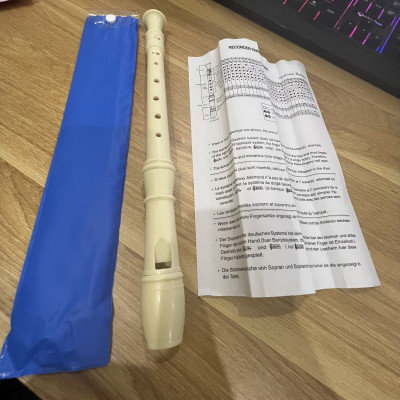 Sáo nhựa cho học sinh hàng chất lượng cao