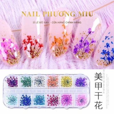 Hoa Khô Chùm Nhỏ Khay 12 Ô Mix MàuTrang Trí Móng Siêu Đẹp Làm Nail Vẽ Nail Nữ Women