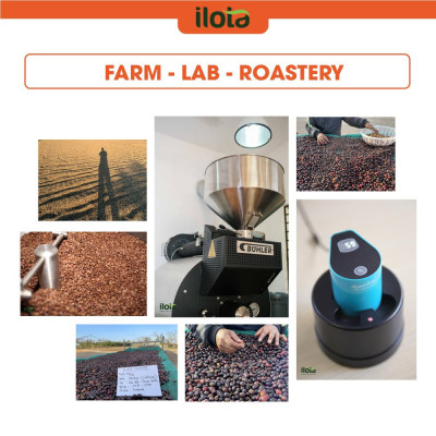 Cà Phê Nguyên Hạt Pha Máy ILOTA 1 ESPRESSO 