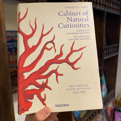 Sách - Cabinet of Natural Curiosities by Albertus Seba | Natural History - English Science Book