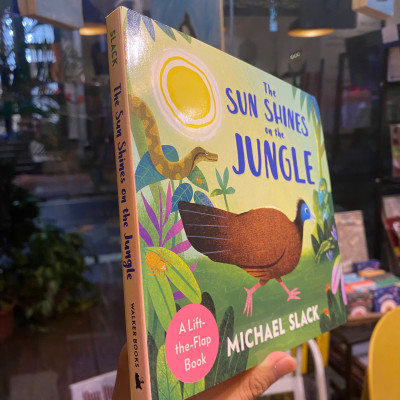 Sách - The Sun Shines on the Jungle by Michael Slack | English Children