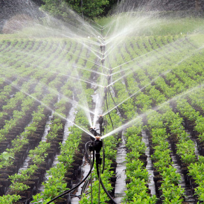 bộ 10 đầu phun meganet 360 độ xanh blue lưu lượng 450l/h