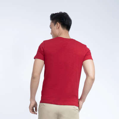 Áo thun nam cổ tròn Novelty 190153N