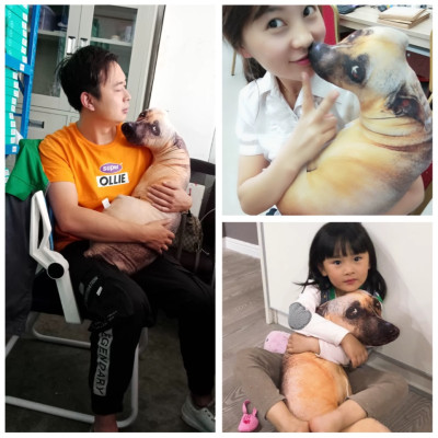 Gấu bông con chó liếc 3D hài hước ship HOẢ TỐC HCM gấu hình chó thật nhồi bông 20cm 50cm 70cm 90cm giá rẻ