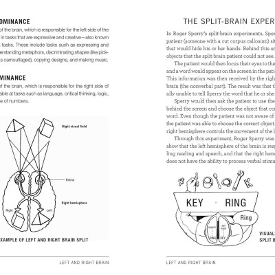 Sách Psych 101: Psychology facts, basics, statistics, tests, and more! (Adams 101)