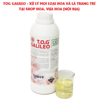 Nước Dưỡng Hoa Tươi Lâu TOG GALILEO nhập khẩu Israel giúp hoa tươi lâu gấp 2 lần và 3-5 ngày không cần thay nước tại nhà vườn, chợ sỉ hoa (1L "đậm đặc" pha 1.000L nước)