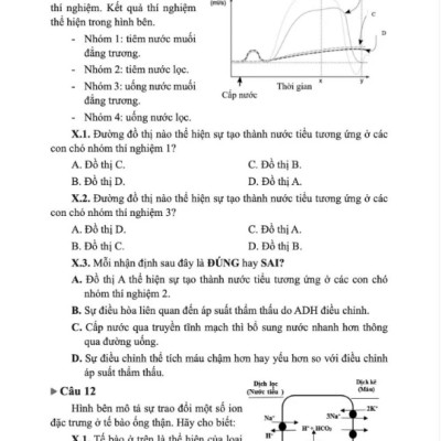  Sách - Bồi Dưỡng Sinh Học 11 (Bộ sách Alpha Biology)