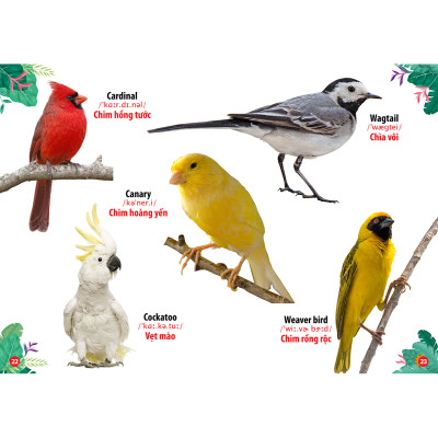 Từ Điển - Thư Viện Hình Ảnh Song Ngữ Đầu Tiên Của Bé - Loài chim - khủng Long - Chữ cái Và Số - Hoa Rau củ Quả ( bộ 4 cuốn )