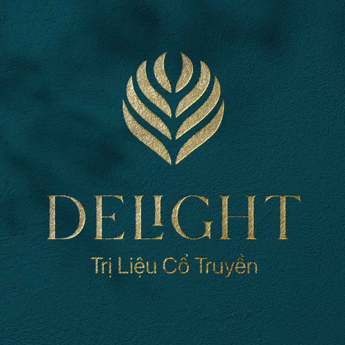 Delight - Trị Liệu Cổ Truyền