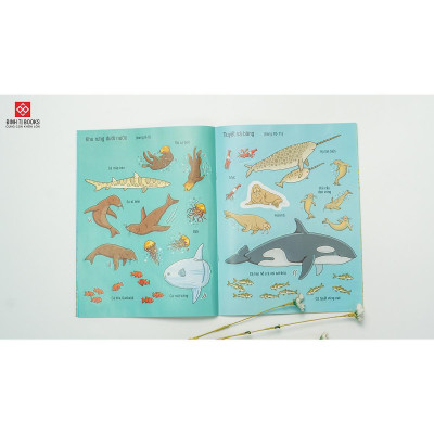 Sách - First Sticker Book - Sách Dán Hình Đầu Đời Cho Bé - Đại Dương - Đinh Tị Books