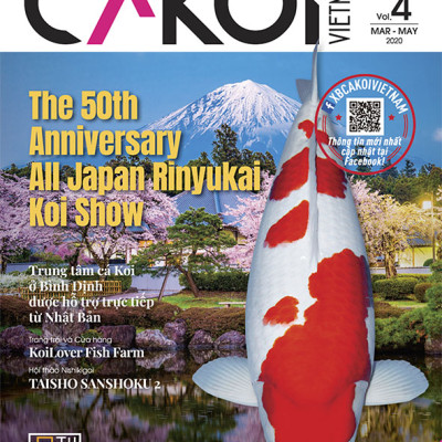 Cá Koi Vietnam - Combo 3 cuốn (Tập 4, 5, 6)