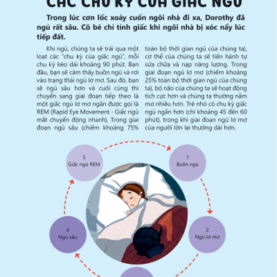 Khám Phá Và Thực Hành Steam Qua Tác Phẩm Kinh Điển - Phù Thủy Xứ Oz