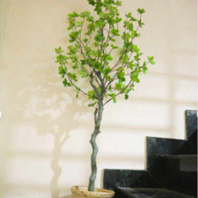 Cây thạch nam giả - thân nhựa - cao 140cm - Cây giả, hoa lụa Decor trang trí nhà cửa