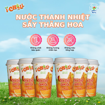 [COMBO 6 LY] iChill Trà Đào Cam Sả Nước Thanh Nhiệt Sấy Thăng Hoa Từ Trái Cây Tự Nhiên