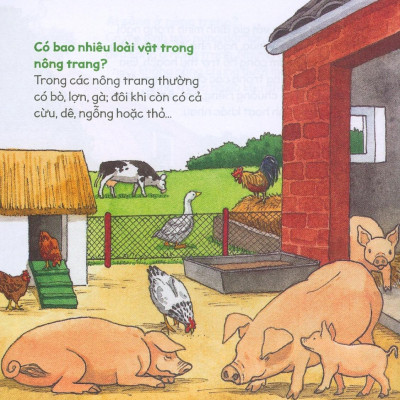 Kiến Thức Tự Nhiên Xã Hội Căn Bản - Nông Trại Yên Bình