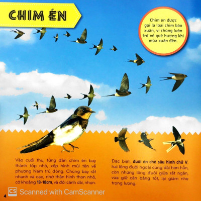 Sách - Bí Ẩn Thế Giới Loài Vật - Chim (Tái Bản 2025)