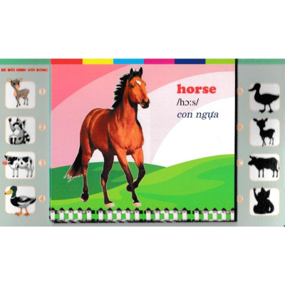 Sách - Bộ Thẻ Học Tiếng Anh - Phát Triển Trí Tuệ Cho Trẻ - Động Vật Nuôi - Hồng Ân