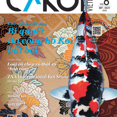 Cá Koi Vietnam - Combo 3 cuốn (Tập 4, 5, 6)